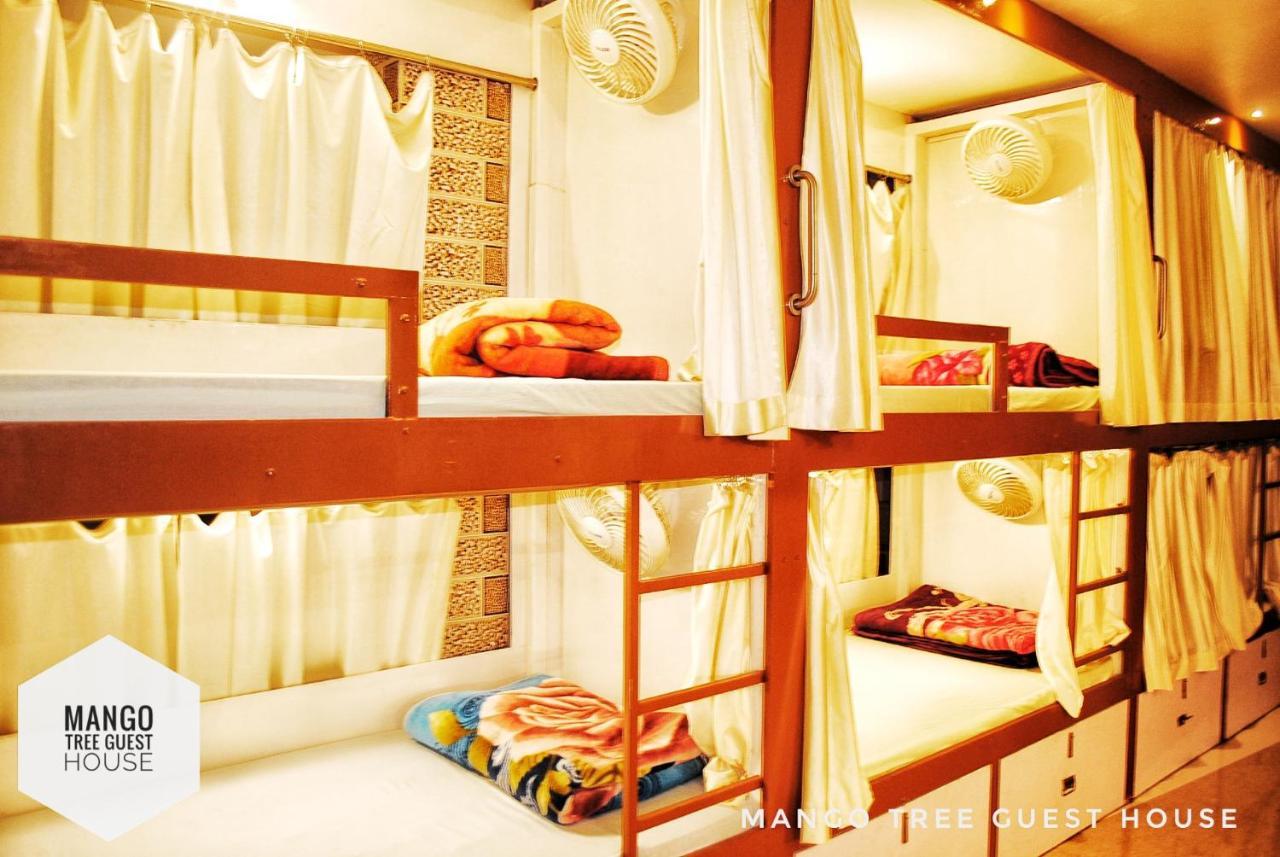 Mango Tree Guest House Рішикеш Екстер'єр фото